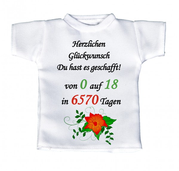 Herzlichen Glückwunsch Du hast es geschafft! Von 0 auf 18... - Mini T-Shirt, Flaschenshirt, Autofensterdekoration, weiß mit aussagekräftigen Spruch